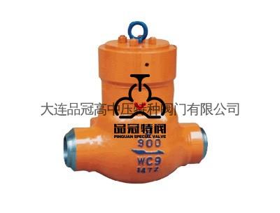 电站止回阀